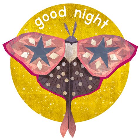 bed time - hermit moth|Bed Time .